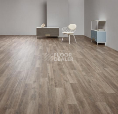 Forbo Eternal Wood 11952 steamed oak фото 2 | FLOORDEALER
